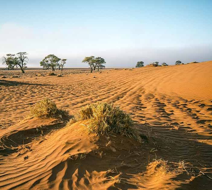 Camps and lodges in Kenya (Demo)