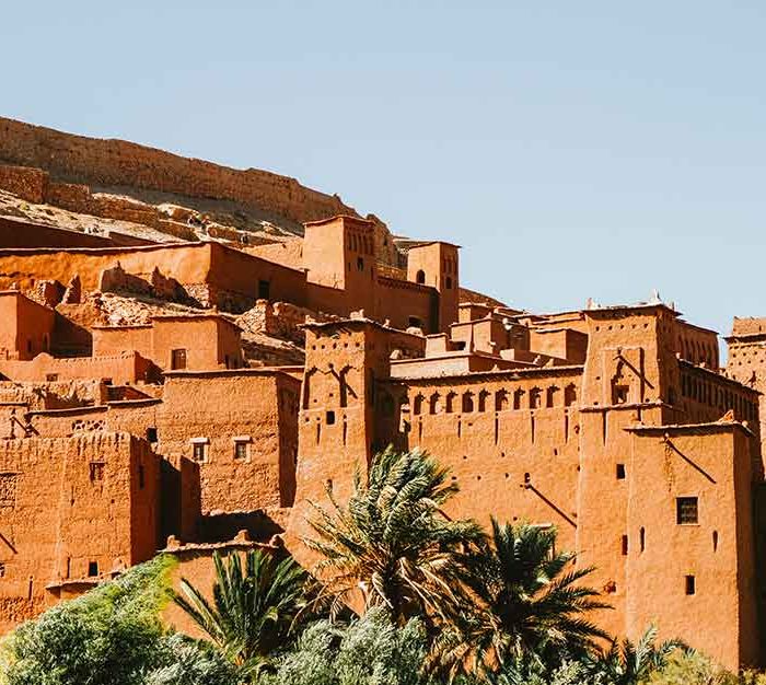 Golden Light Safari Circuit (Demo)