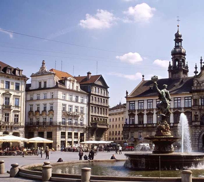 A Culinary & Wine Odyssey (Demo)